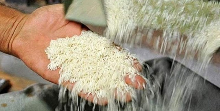 کود گوگرد مایع برای برنج